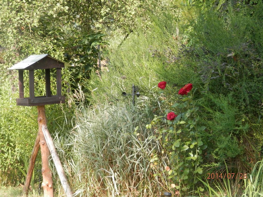 Zagroda Agroturystyczna Wiecha Mieroszow Esterno foto