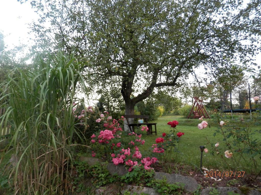 Zagroda Agroturystyczna Wiecha Mieroszow Esterno foto