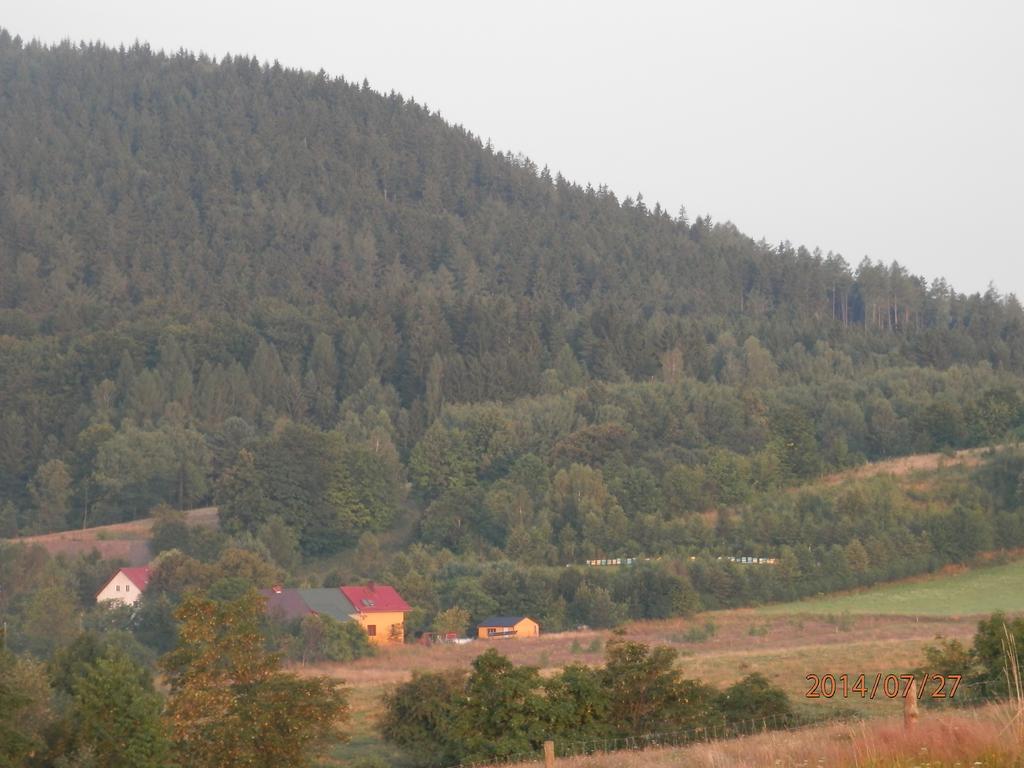Zagroda Agroturystyczna Wiecha Mieroszow Esterno foto